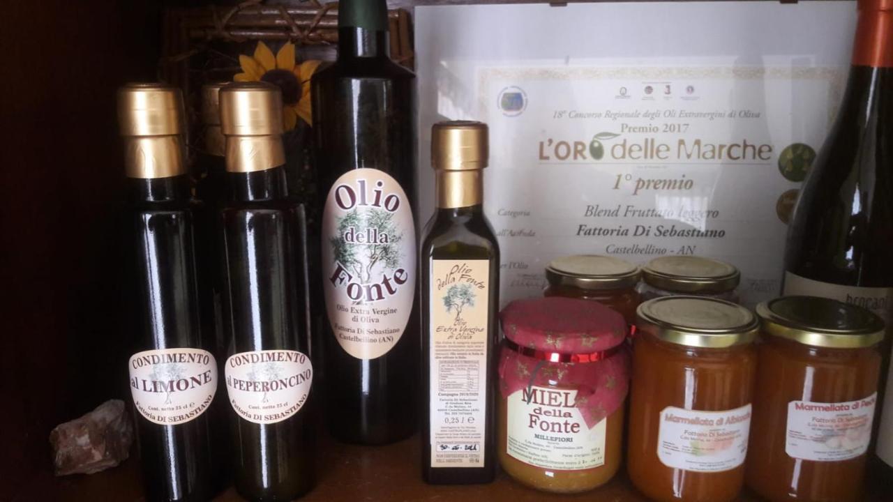 拉维奇亚丰堤农庄酒店 Castelbellino 外观 照片